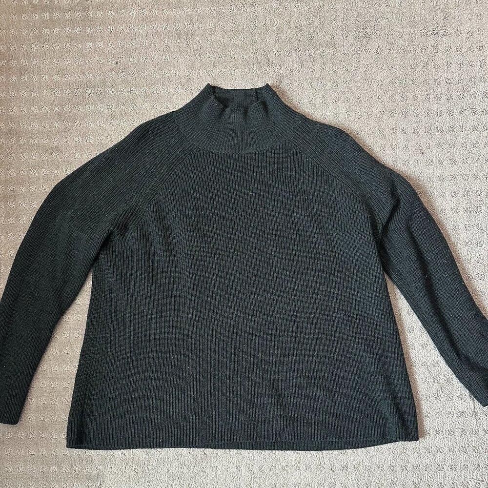 Eileen Fisher Large Green Sweater
